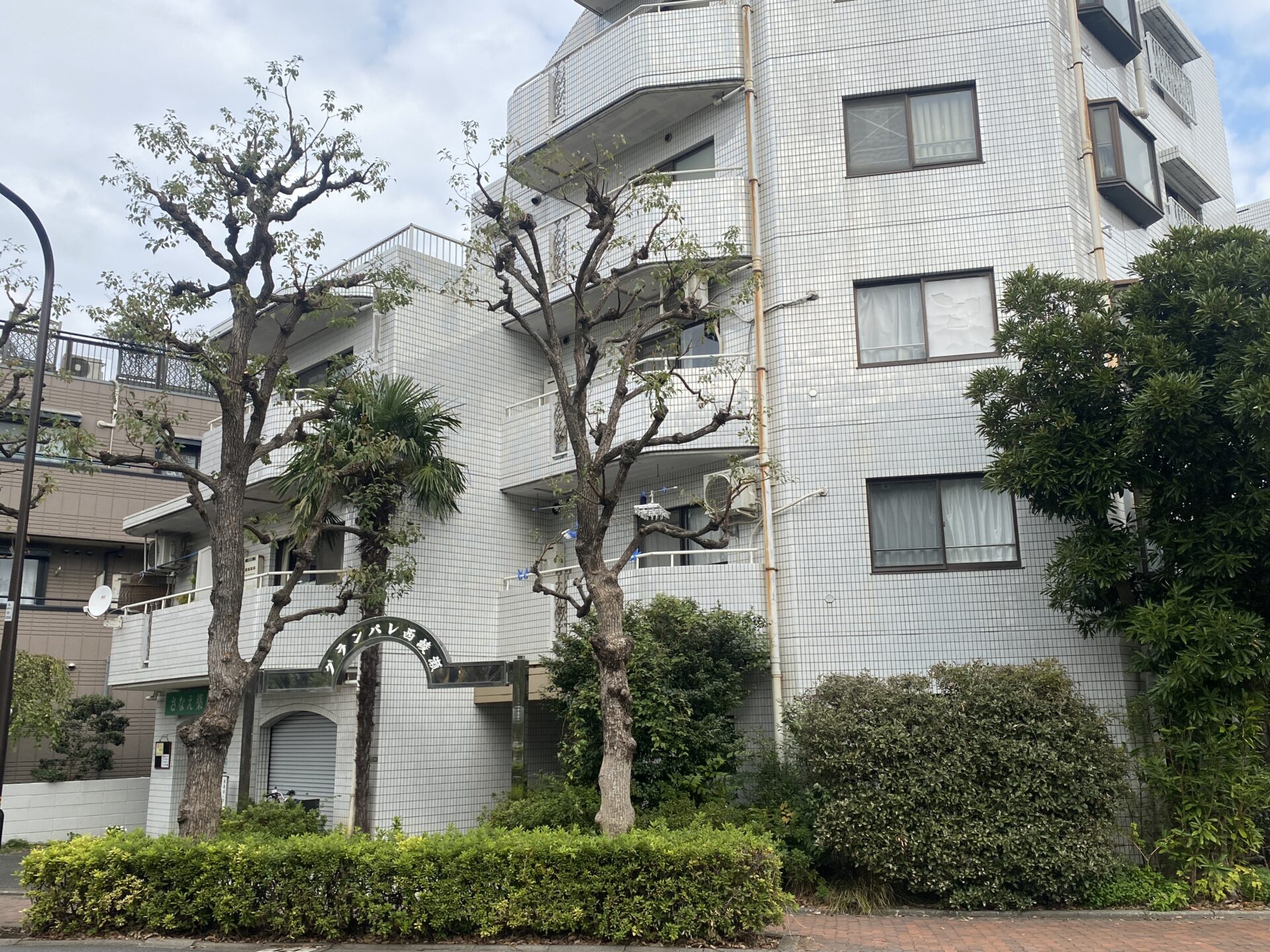 外観